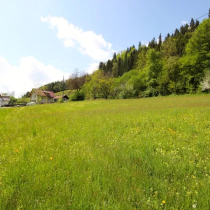 Sonniger Baugrund in St. Urban/Feldkirchen - Bild 3