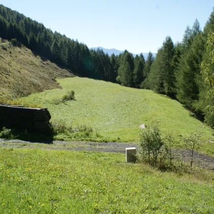 Bauland- Zweitwohnsitz und Kurgebiet in Heiligenblut am Großglockner - Bild 2