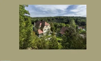 HERRSCHAFTLICH JAGDSCHLOSS INMITTEN MÄRCHENHAFTER NATUR!