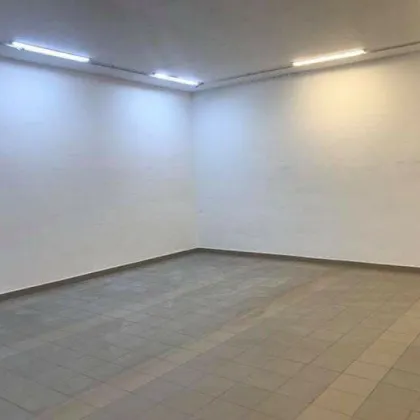 KLEINHALLEN ab ca. 40m² (5 x 8m) - ideal für Kleinunternehmer und Hobbybastler - Bild 3