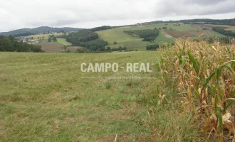 CAMPO-LAND- und FORSTWIRTSCHAFT: Hochwasserfrei - ca. 10 ha Wald und 7 ha Acker - regionale Produkte produzieren - nachwachsende Zinsen - BAUMSPAREN - die neue internationale Anlageform - Region Wienerwald