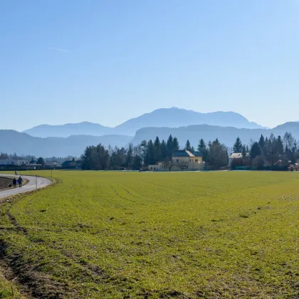 BAULAND Hörtendorf | ca. 12.700 m2 - teilweise Bauland-Wohngebiet - Bild 2