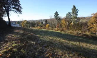 Schönes und ruhig gelegenes Baugrundstück in Bad Tatzmannsdorf