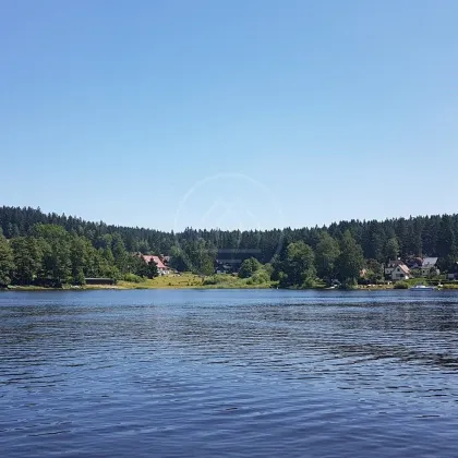 Grünland mit Seezugang am Lipno - 43.621 m2 - Lojzovy Paseky - Bild 2