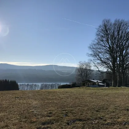 Grünland mit Seezugang am Lipno - 43.621 m2 - Lojzovy Paseky - Bild 3