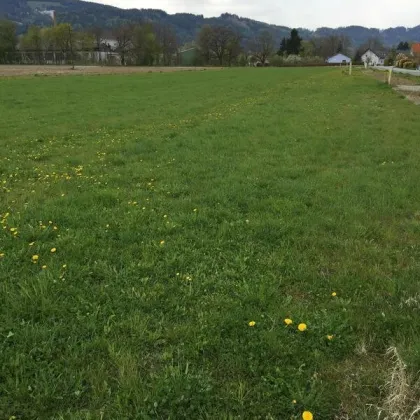 ** Baugründe in Weißkirchen - 1.122 m² und 1.959 m² in Top Lage ++ - Bild 3