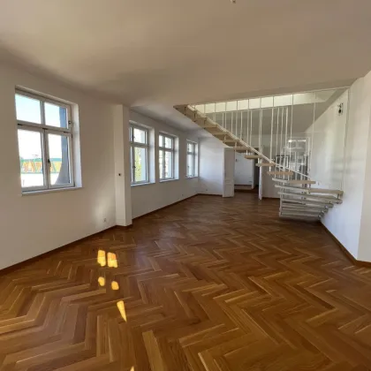 170 m² Penthouse mit großer 360° Sonnenterrasse in 1190 Wien - Bild 3