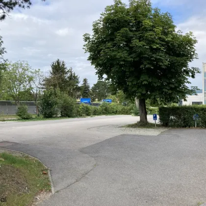 Modernes Bürohaus mit viel Glas in sehr gutem Zustand, teilklimatisiert, rd. 60 Räume und ca. 45 Stellplätze - nahe Autobahnknoten Vösendorf und Wiener Stadtgrenze - Bild 3