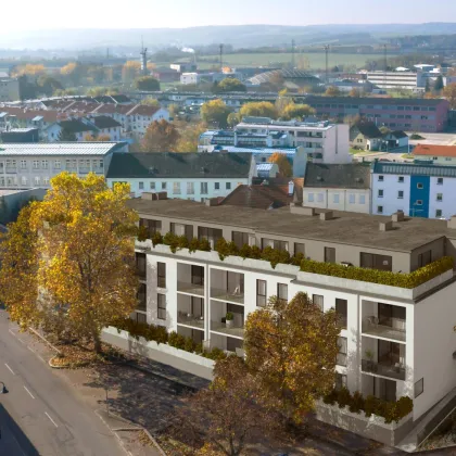 Stadtleben neu definiert: Exklusive Neubauwohnungen im Zentrum von Hollabrunn - Bild 2