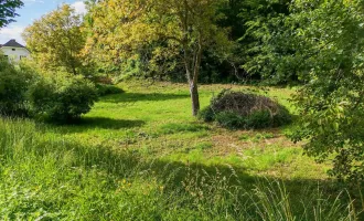 Update! - Freiland Grundstück an der Grazer Stadtgrenze. - Vielfältige Nutzungsmöglichkeiten.