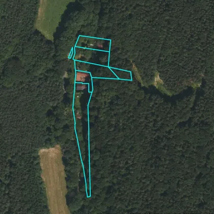 Baugrundstück in Alleinlage umgeben von Wald! - Bild 3