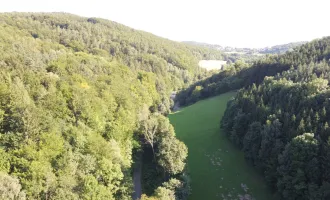 Baugrundstück in Alleinlage umgeben von Wald!