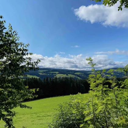 Alleinlage mit spektakulärer Aussicht! - Bild 2