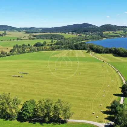 LIPNO REAL: Hochwertiges Ackerland in Seenähe – 92.549 m2 in Pernek - Bild 3