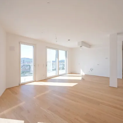 PENTHOUSE WOHNUNG mit Traumausblick (großzügig, hell - einzigartiger Parkblick mit Sonnenuntergang) Top 197 - Bild 3