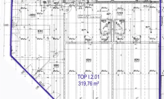 319,76 m² Bürofläche im 1. OG