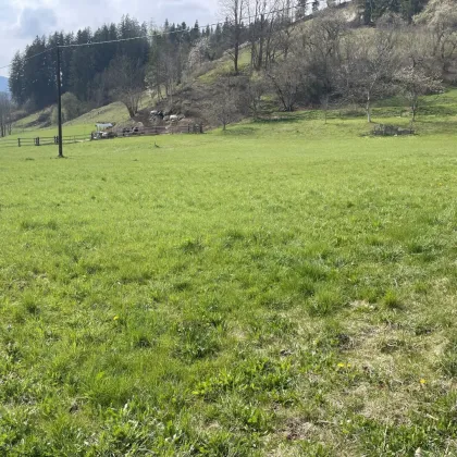 KAINACH BEI VOITSBERG - SONNIGER BAURECHTSGRUND - Bild 3