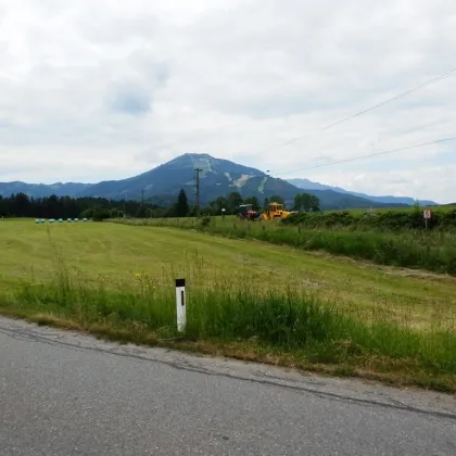 MARIAZELL/ST. SEBASTIAN - SONNIGER BETRIEBSBAUGRUND IM BAURECHT - Bild 3