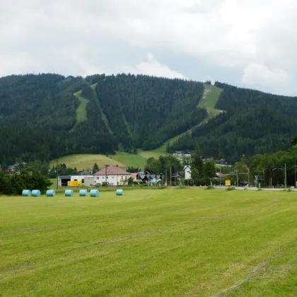 MARIAZELL/ST. SEBASTIAN - SONNIGER BETRIEBSBAUGRUND IM BAURECHT - Bild 2