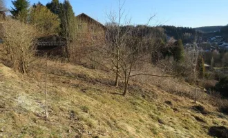 Baugrund mit 1094m²