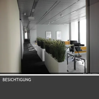 Büro in Business-Park, reichhaltige Infrastruktur in der Sockelebene - Bild 3