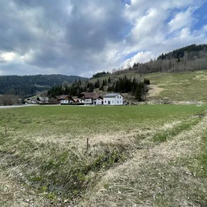 NEUBERG AN DER MÜRZ/KAPELLEN - GROSSZÜGIGER BAURECHTSGRUND - Bild 3