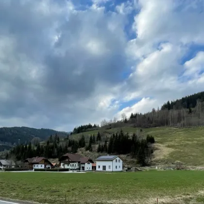 NEUBERG AN DER MÜRZ/KAPELLEN - SCHÖN GELEGENE BAURECHTSGRÜNDE - Bild 2