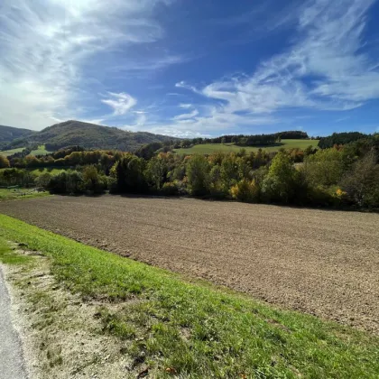 Baugrundstück für Bauträger in Bromberg bei Bad Erlach-Wr.Neustadt-Nähe - Fernblick! - Bild 3