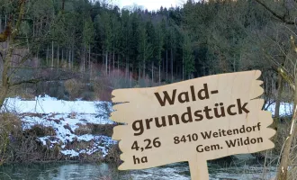 Waldgrundstück (4,26 ha) in Weitendorf zu verkaufen