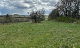 idyllischer landwirtschaftlicher Grund in Winden am See