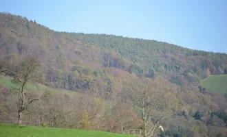 Ungewöhnlicher Baugrund mit Freiland ca. 600 m², Wochenendhütte, nahe Schöckelstraße