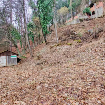 Neuer Preis! - Freiland-Grundstück für Naturliebhaber. - Wertanlage in Grund und Boden. - Zwischen Gratkorn und Deutschfeistritz. - Bild 2