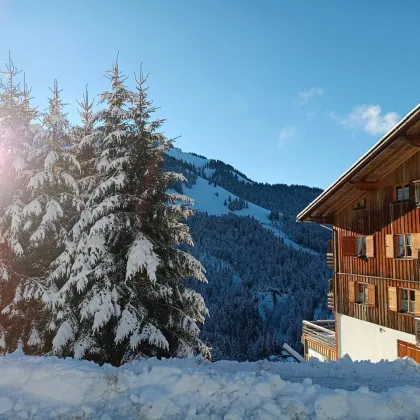 Ferienwohnung im Naturparadies Ebnit zu verkaufen! - Bild 3