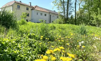 Leben in den Traunauen! Grundstück in Thalheim-Schauersberg