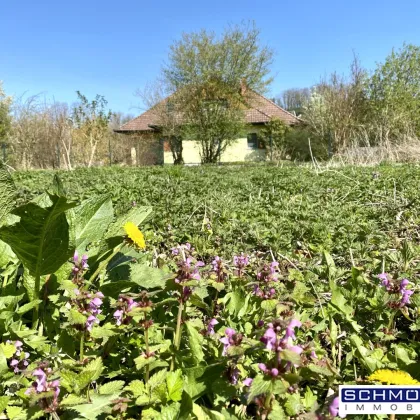 Leben in den Traunauen! Grundstück in Thalheim-Schauersberg - Bild 3