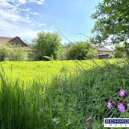 Leben in den Traunauen! Grundstück in Thalheim-Schauersberg - Bild 2