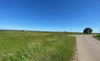 Nickelsdorf -sonniges Grundstück in absoluter Ruhelage