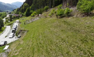 Sonniger Süd-Baugrund am Waldrand, voll aufgeschlossen!