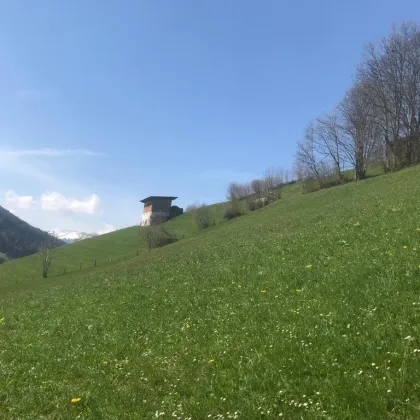 Lebensfähiger Bergbauernhof in Sonnenlage in der Wildschönau zu verkaufen - Bild 3