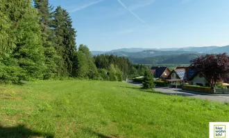 Traumhafte Aussicht: Großer Baugrund am Waldrand