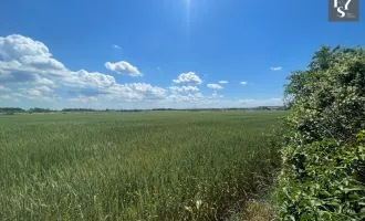 BETRIEBSGEBIET-GRUNDSTÜCK IN HAGENBRUNN!