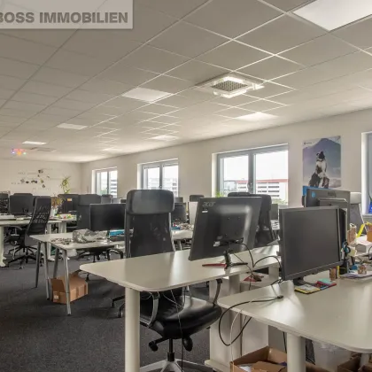 Businessfläche am TOP Standort - 620 m² - Bild 3