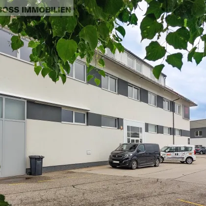 Businessfläche am TOP Standort - 620 m² - Bild 2