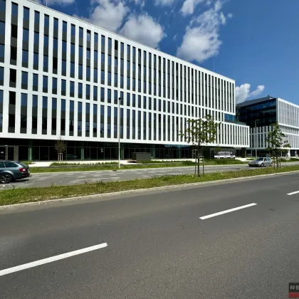 DAS HAFENPORTAL I BÜROFLÄCHEN BIS ZU 5.000 m² - Bild 2