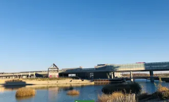 Traumdachterrasse mit Seeblick! 3 Minuten zur U2 Station - Lichtdurchflutete Ateliers mit Schwimmbiotop