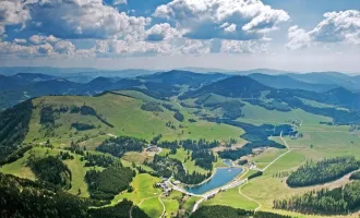 Gut eingeführtes Gasthaus mit Zimmervermietung in der Region Almenland - Teichalm