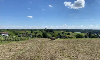 Schönes Grundstück in super Lage