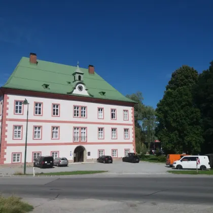 Werden Sie Schlossbesitzer - Miteigentum am Schloss Frein - Bild 2