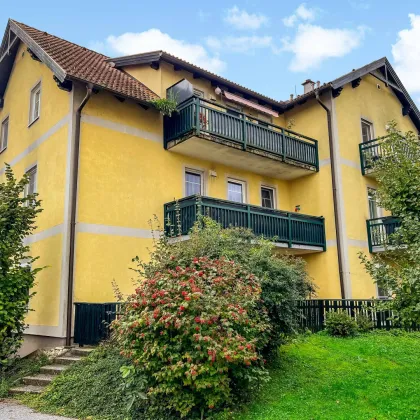 Wohnlage im Süden von Amstetten. - Vermietete 3-Zi. Wohnung. - Zwei Balkone und großer Gemeinschaftsgarten. - Bild 2