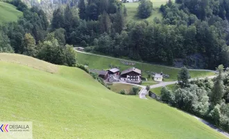 Landwirtschaftliches Liebhaber Objekt